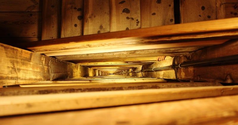 Quelle essence de bois choisir pour un escalier qui dure et séduit