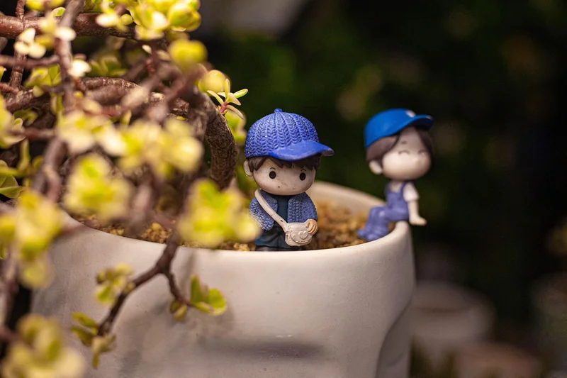 Les 3 erreurs qui tuent votre jardin