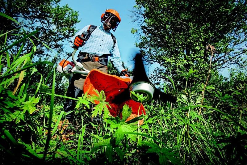 Les secrets 2026 pour entretenir et affûter vos outils de jardinage efficacement
